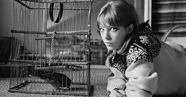 Jane Birkin a eterna musa