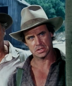 Geoffrey Lewis, ator de filmes com Clint Eastwood