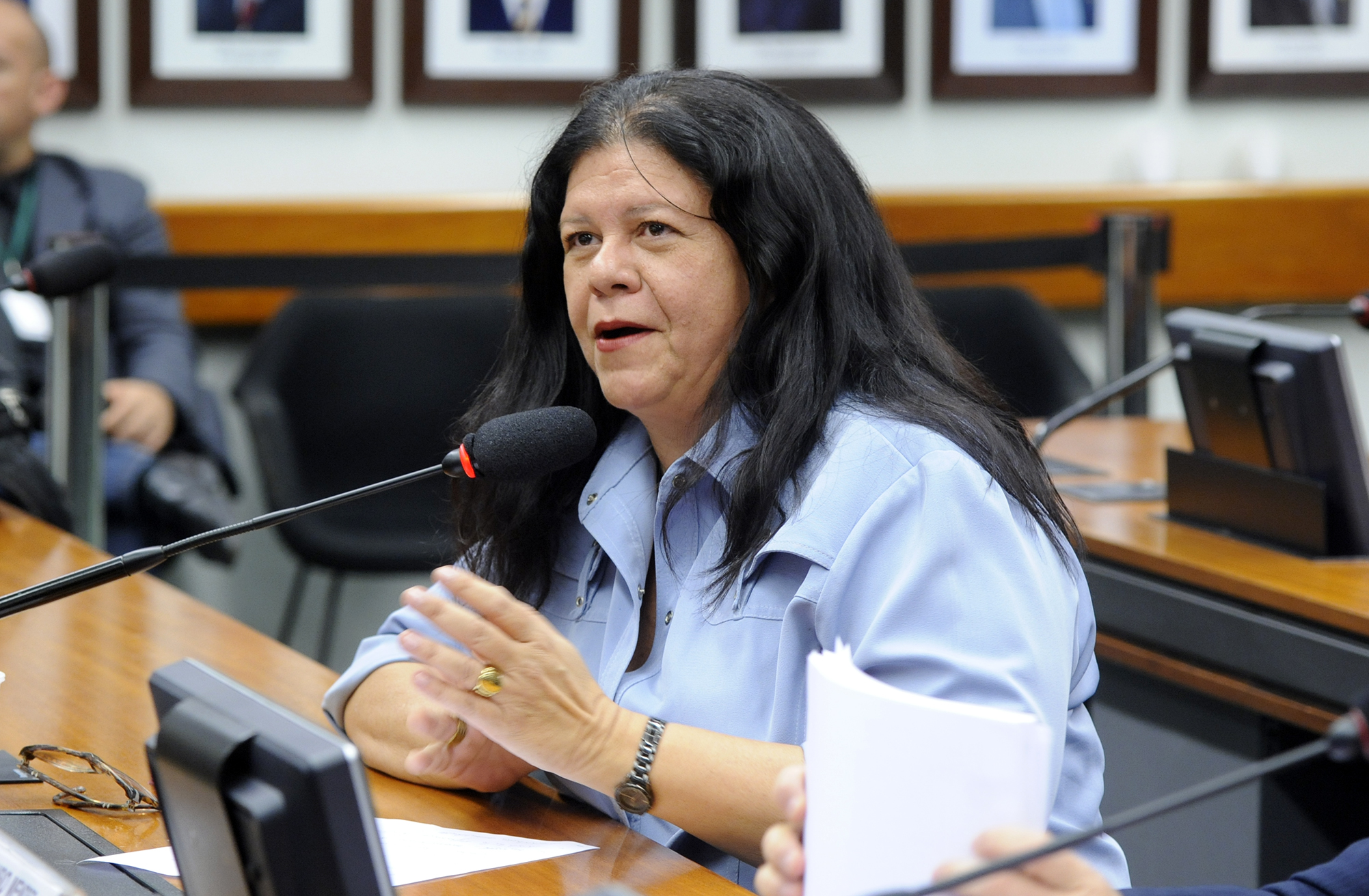Laura Carneiro (Foto: www2.camara.leg.br/Divulgação)