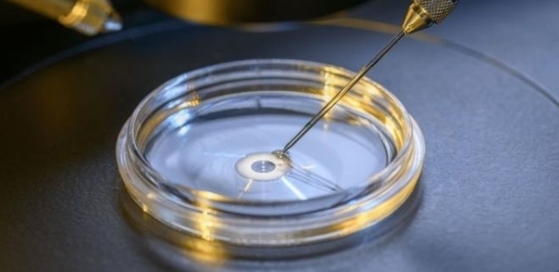 Universidade de Sun Yat-sen