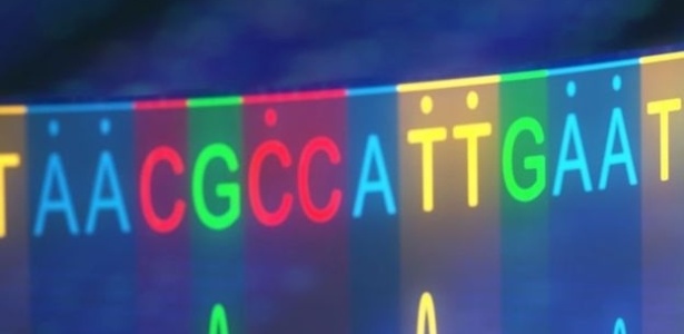 Universidade de Sun Yat-sen