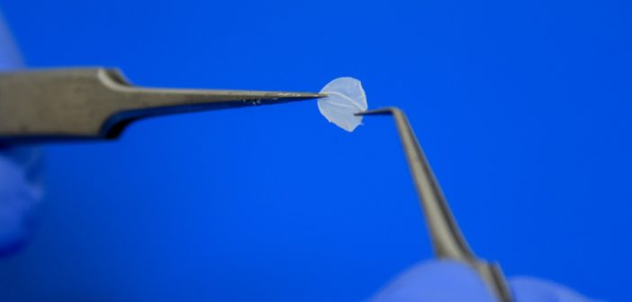 Episkin - Pele de laboratório