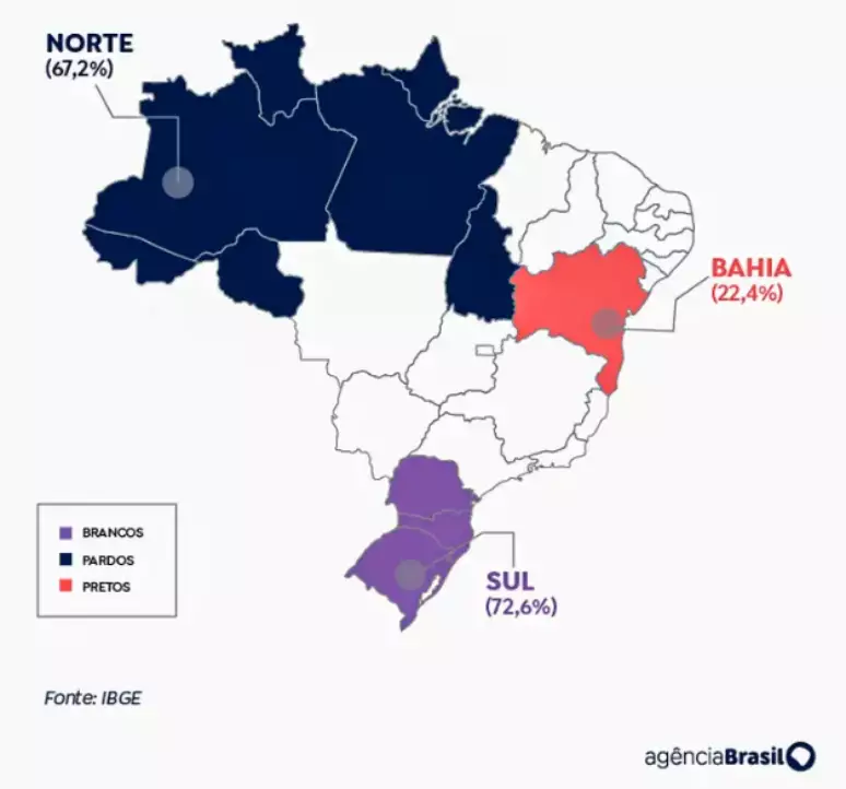Separação entre pretos e pardos é polêmicaFoto: Arte Agência Brasil