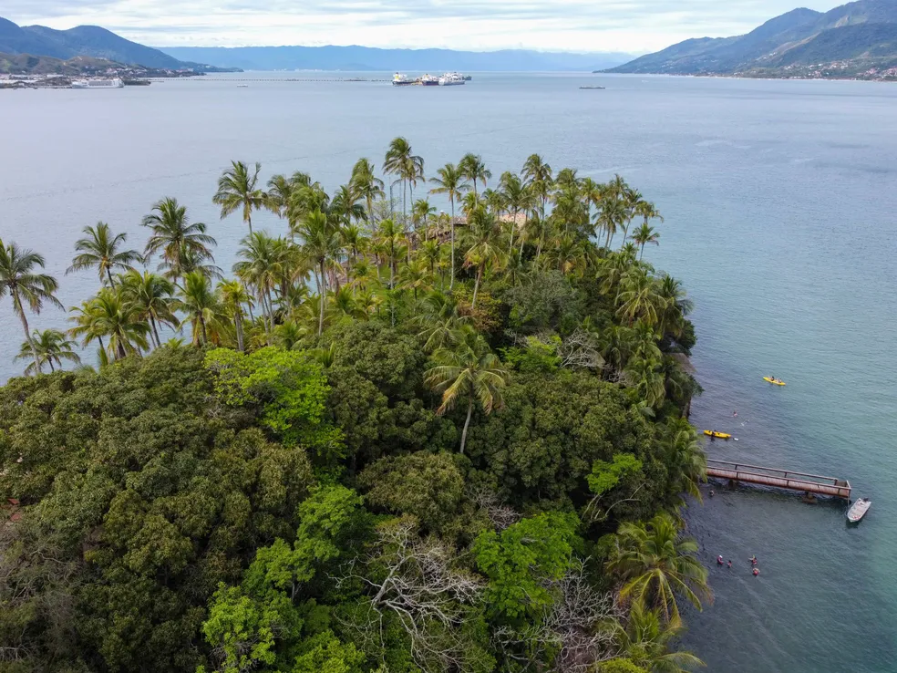 Atualmente, a Ilha das Cabras está sob administração da Fundação Florestal, que coordenada a implementação da Ilha-Museu junto com a Unesco.