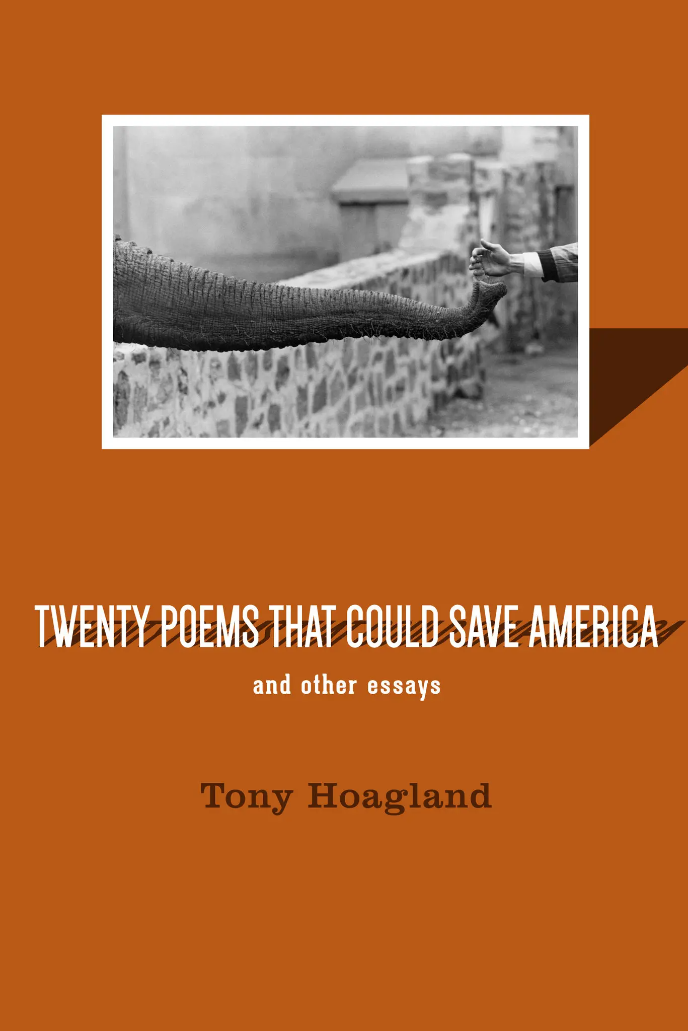 Tony Hoagland