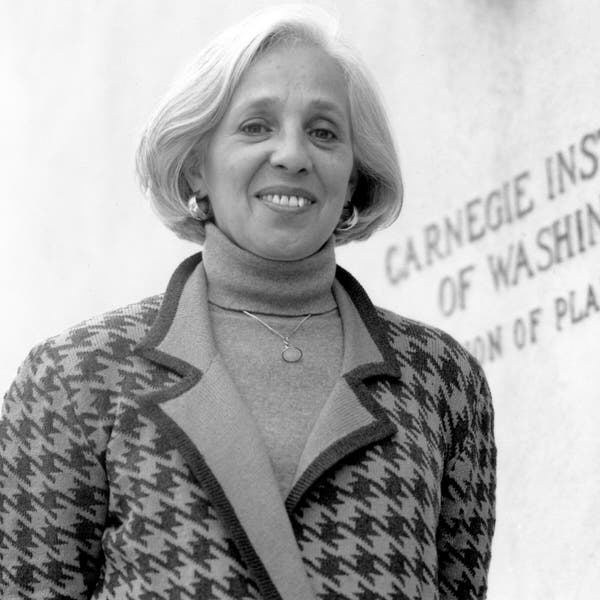 O Dr. Singer foi presidente da Carnegie Institution for Science em Washington de 1988 a 2002.Crédito...via Ciência Carnegie