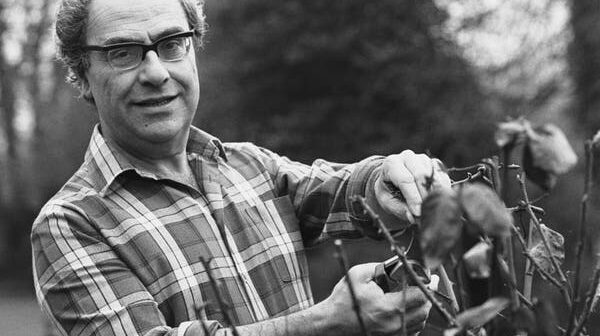 D. G. Hessayon ​​em 1985. O segredo do sucesso de seus muitos guias de jardinagem, ele disse, era deixar os leitores à vontade: “Estou escrevendo para o homem do semi-isolado.” (Crédito da fotografia: CortesiaSpurling/Daily Express, via Hulton Archive — Getty Images)