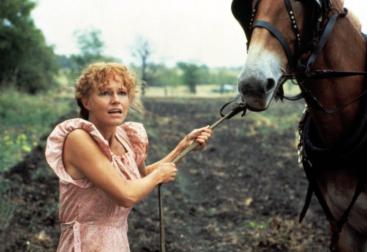 Sally Field em "Lugares no Coração". Sua atuação lhe rendeu um Oscar. O Sr. Benton, disse ela, "se conecta com as coisas mais insignificantes, o leve movimento das mãos".Crédito...TriStar, via Coleção Everett