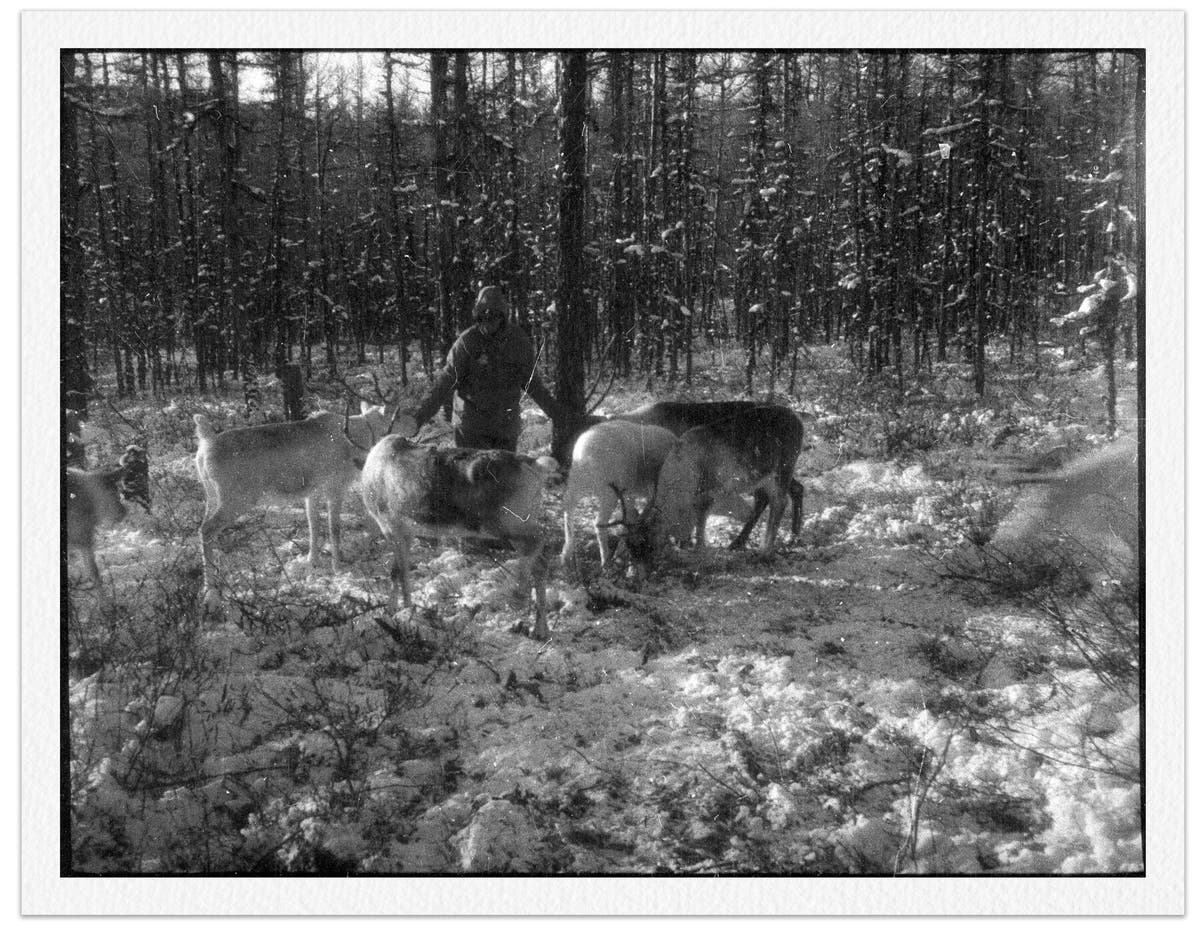 Ethel Lindgren em 1931. Sua dissertação era sobre o xamanismo entre os Reindeer Tungus, um coletivo de povos pastores de renas indígenas da Ásia Subártica. Crédito...Museu de Arqueologia e Antropologia, Universidade de Cambridge