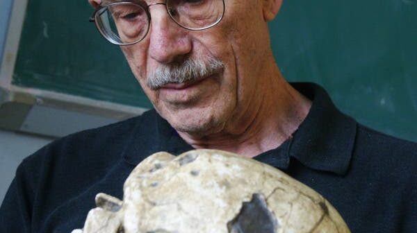 Ralph Holloway em 2012. Ao criar moldes do interior de fósseis de crânios, ele conseguiu estabelecer conclusivamente que um famoso crânio de dois milhões de anos, conhecido como criança Taung, pertencia a um dos ancestrais distantes da humanidade.Crédito...via Instituto da Idade da Pedra