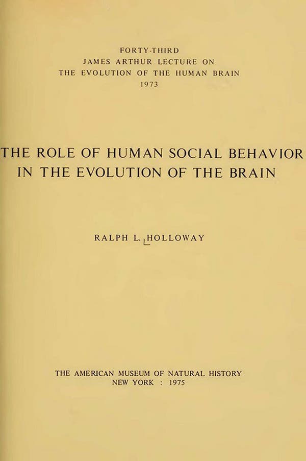 O Dr. Holloway publicou “O papel do comportamento social humano na evolução do cérebro” em 1975.Crédito...Museu Americano de História Natural.