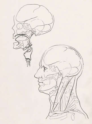 Visualização das redes cerebrais em escala impressionante ©Créditos: Unsplash / Europeana