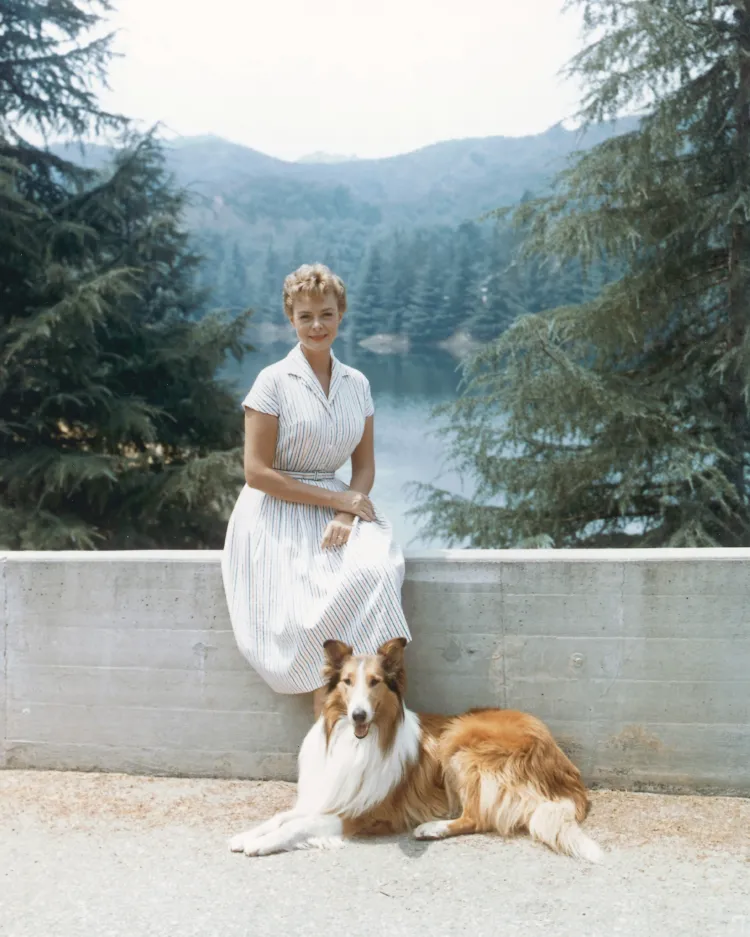 June Lockhart posa ao lado da protagonista de "Lassie" Imagem: Silver Screen Collection/Getty Images