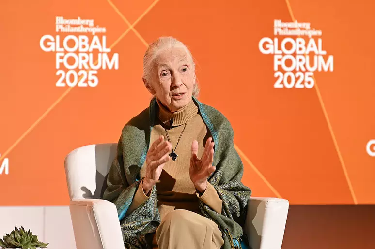 Jane Goodall durante palestra em 2025 - (Foto: Bryan Bedder/Getty Images/loomberg Philanthropies)