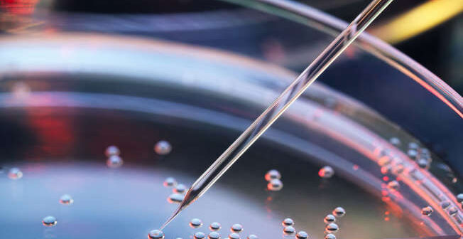 professor Shoukhrat Mitalipov