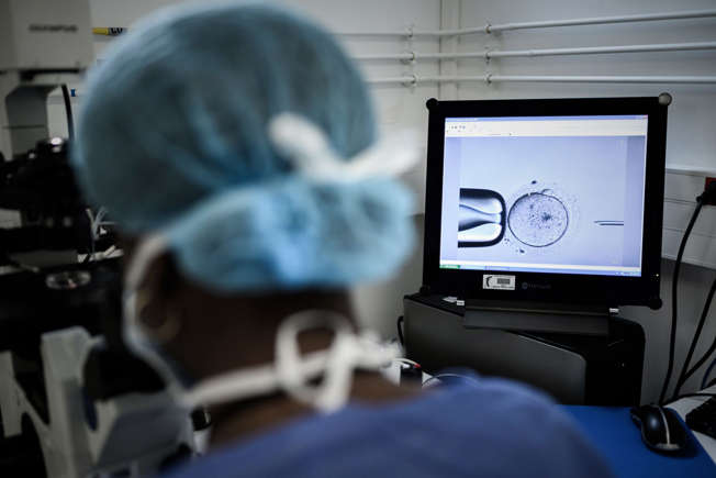 professor Shoukhrat Mitalipov