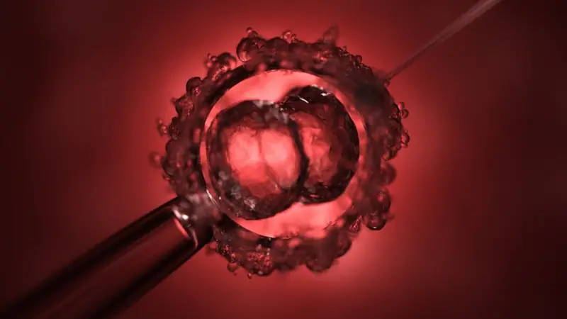 técnica Crispr em embriões humanos.