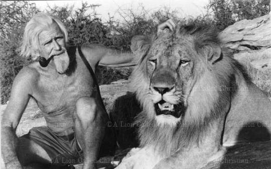 George Adamson