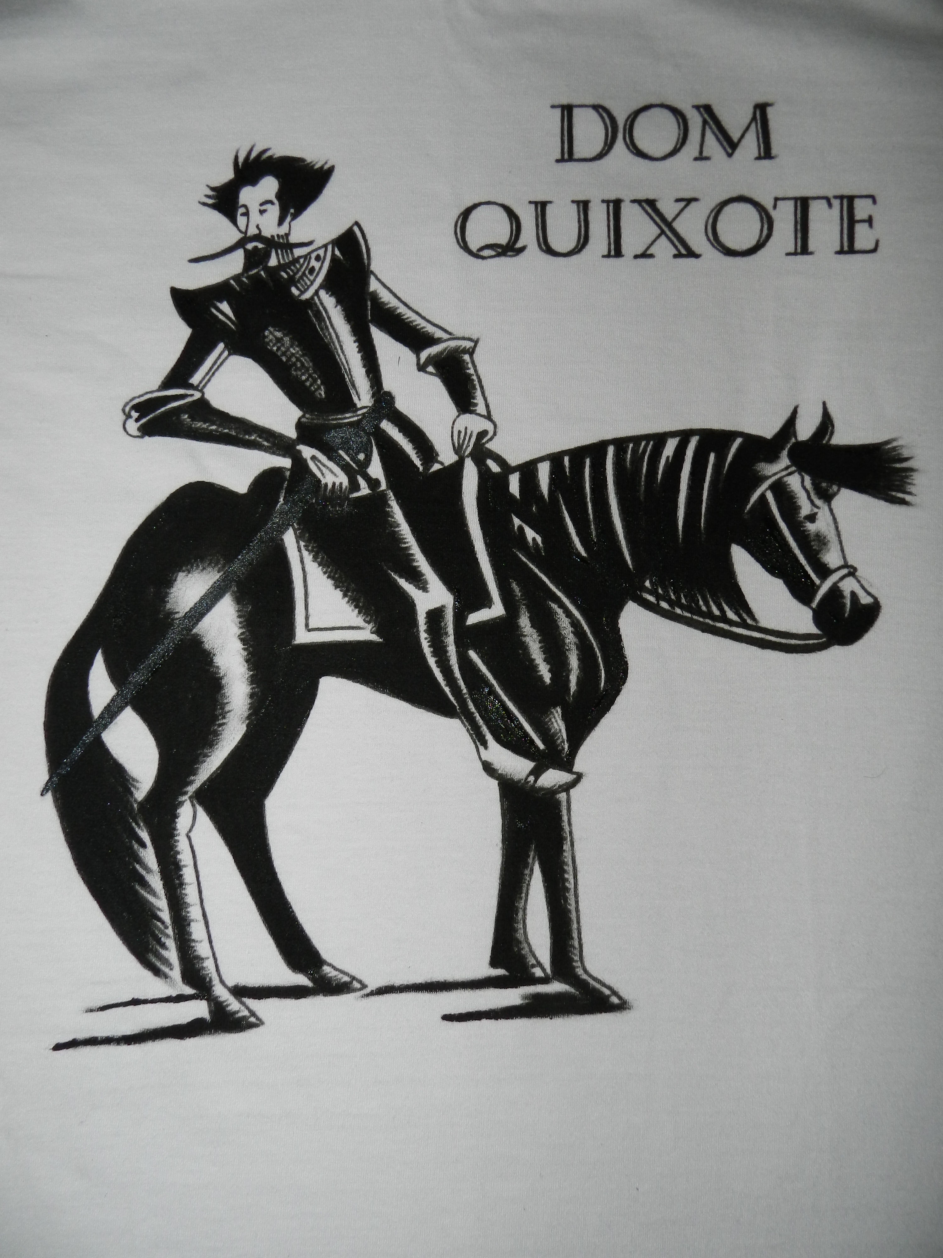 Dom Quixote (Foto: Reprodução)