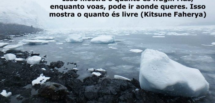 Frases de viagem
