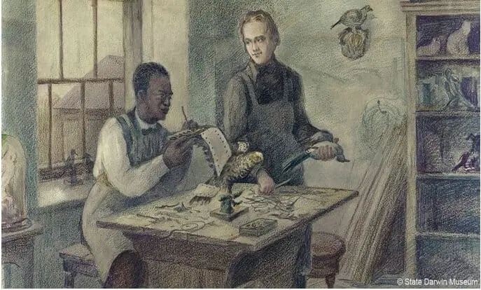Edmonstone ensinando Charles Darwin. (Foto: State Darwin Museum, Rússia)