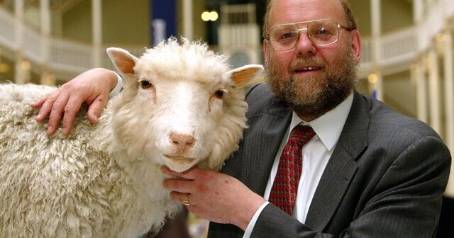 O professor Ian Wilmut, do Roslin Institute, ao lado da ovelha Dolly, primeira de sua espécie a ser clonada no mundo. A imagem é de julho de 1996, quando Dolly já estava empalhada — Foto: PA Images via Reuters Connect