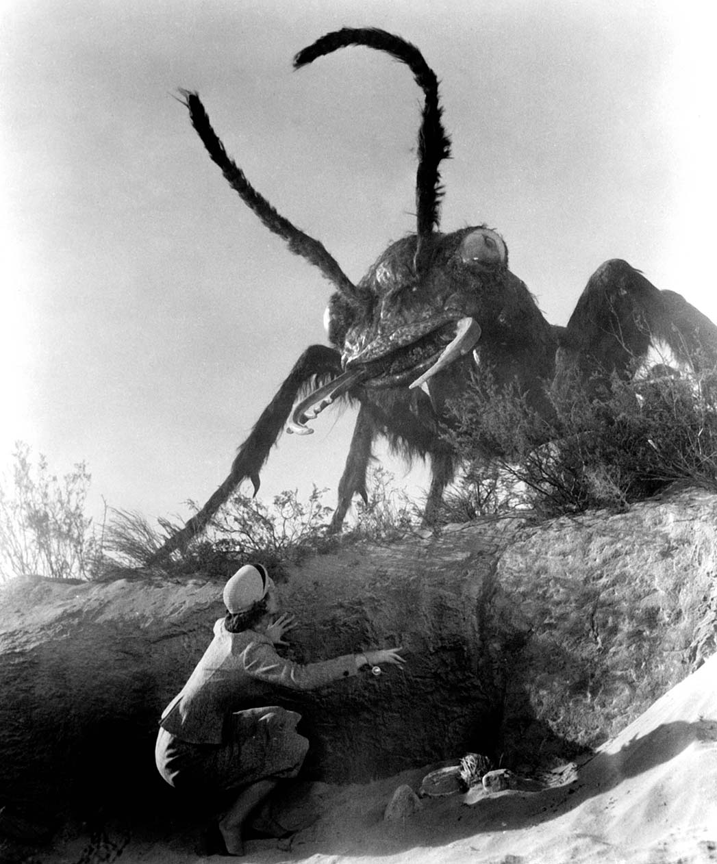 Joan Weldon, atriz perseguida por formigas gigantes em 'Them!'
