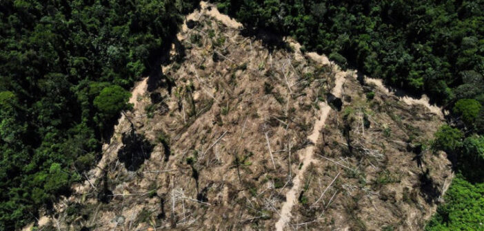 Área desmatada da floresta amazônica 14/07/2021 REUTERS/Bruno Kelly © Thomson Reuters