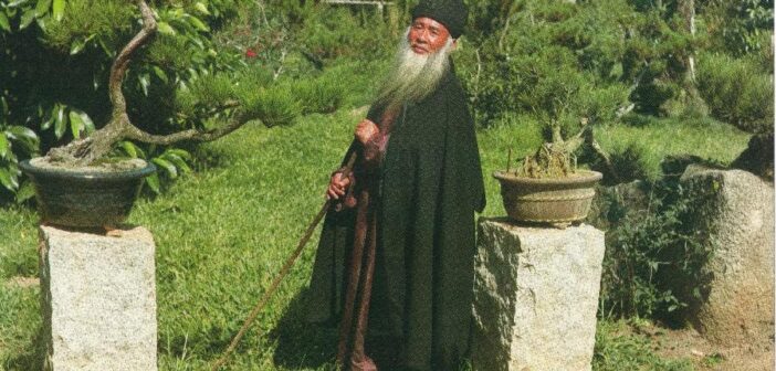 O pintor chinês Chang Dai-chien, conhecido como "Picasso da China", no Jardim das Oito Virtudes, em São Paulo (Imagem: Wang Ze-I)