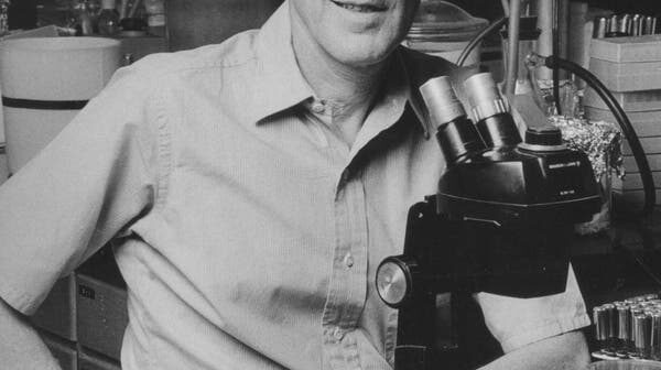 Bruce Ames em 1987 em seu laboratório na Universidade da Califórnia, Berkeley, onde ele criou um teste que expôs a toxicidade de produtos químicos amplamente usados. Mais tarde em sua carreira, ele alienou alguns ambientalistas, dizendo que eles estavam “exagerando descontroladamente os riscos” de muitos produtos químicos.Crédito...Jane Scherr para a Universidade da Califórnia, Berkeley