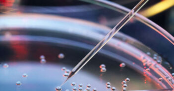 professor Shoukhrat Mitalipov