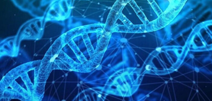 vida humana artificial / DNA humano sintético