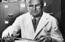 Editorial use only Milislav Demerec (1888-1962), Croatian-US geneticist. Demerec studied in Croatia (then Austria-Hungary) and France, before starting graduate studies in the USA in 1919. He obtained his PhD from Cornell University in 1923. His studies included the genetics of maize and Drosophila fruit flies. From 1941 to 1960 he was the director of the Carnegie Institution Department of Genetics (later Cold Spring Harbor Laboratory), New York, USA. He also worked on the genetics of bacteria and their viruses. He was elected to the National Academy of Sciences in 1946. In 1947 he founded the journal 'Advances in Genetics'. Photographed in the 1940s.